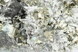 Gleaming Pyrite and Sphalerite (Marmatite) on Quartz - Peru #238937-3